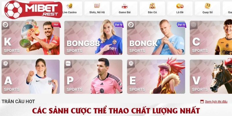 Tổng hợp các sảnh thể thao Mibet hấp dẫn nhất 2025 2 cac-sanh-cuoc-the-thao-chat-luong-nhat